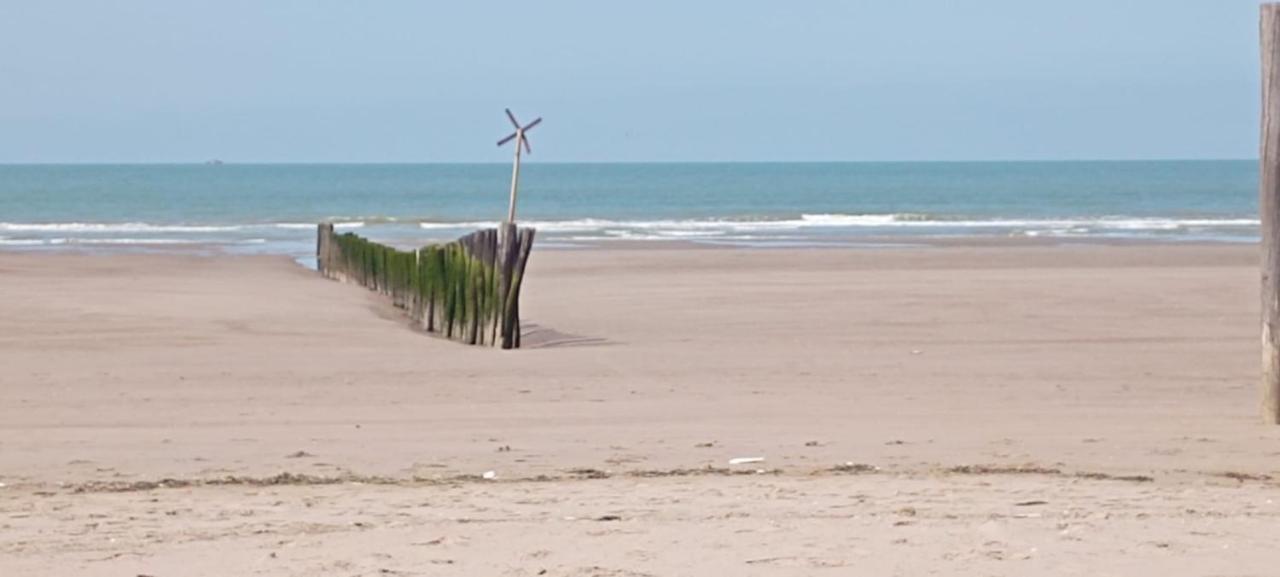 Les Salines Daire Oye-Plage Dış mekan fotoğraf