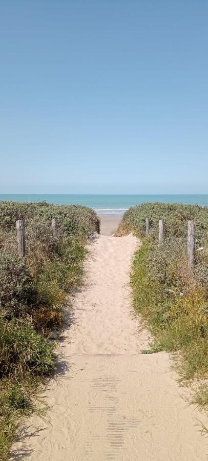 Les Salines Daire Oye-Plage Dış mekan fotoğraf